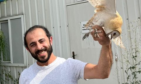 Erzurum'da Peçeli Baykuş Yeniden Doğaya Kavuştu