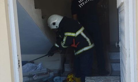 Hatay'da İki Eve Giren Yılanlar İtfaiye Tarafından Yakalandı