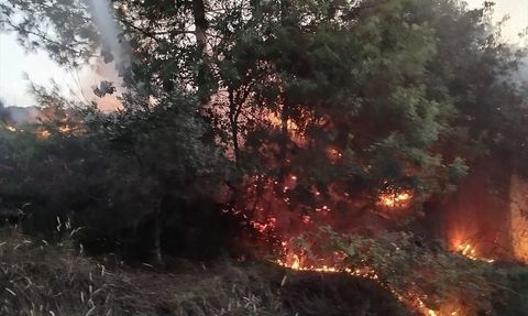 Hatay'daki Orman Yangını Kontrol Altına Alındı