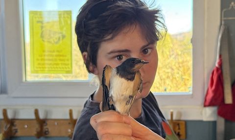 Iğdır'da Kuş Çeşitliliğine Katkı: Almanya'dan Gelen Kuş Bilimci