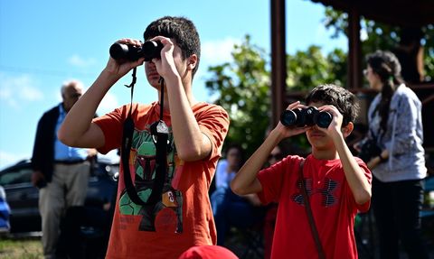 İstanbul'da Yırtıcı Kuşlar Gözlemlendi