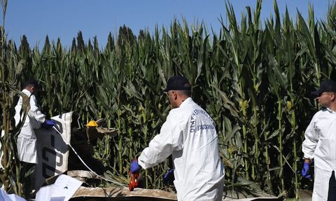 İzmir'de Eğitim Uçağı Düşmesi: Pilotun Ölümü