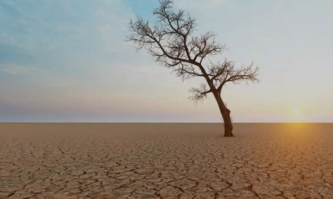 İzmir için endişeler arttı! Kasım ayında şiddetini arttıracak