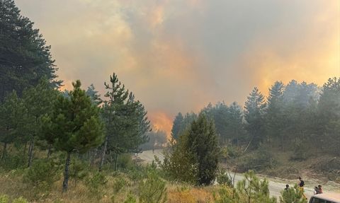Karabük'te Orman Yangını: Müdahale Devam Ediyor