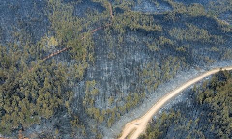 Karabük'te Orman Yangınları Havadan Görüntülendi