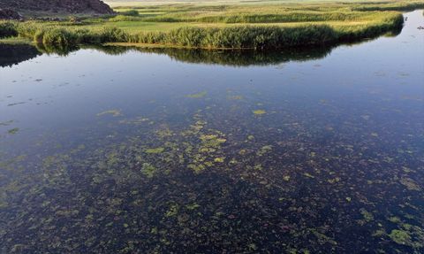 Karasu Sulak Alanı Küresel Isınmanın Tehdidi Altında