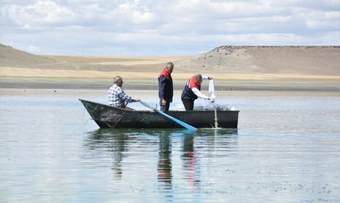 Kars'ta 500 Bin Sazan Yavrusu Göllere Bırakıldı