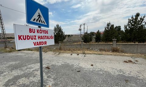 Kars'ta Kuduz Karantinası Uygulaması Başlatıldı