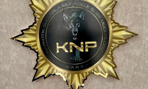 Kars'ta Uyuşturucu ile Yakalanan Zanlı Tutuklandı