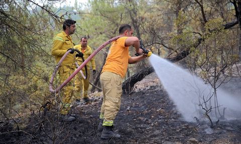 Kastamonu-Karabük Sınırındaki Orman Yangınları Kontrol Altında