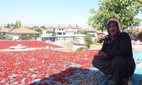 Kayseri'nin Cırgalan Biberi: Lezzeti ve Geleneği
