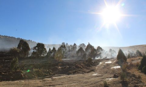 Konya'da Orman Yangını: 40 Dönüm Alan Zarar Gördü