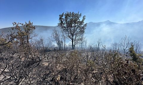 Konya'da Orman Yangını Kontrol Altına Alınıyor