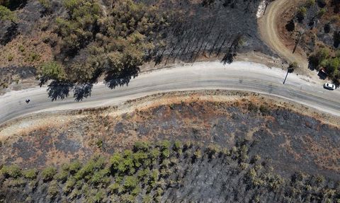Köyceğiz Orman Yangını Havadan Görüntülendi