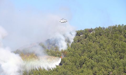 Köyceğiz Orman Yangınına Müdahale Devam Ediyor