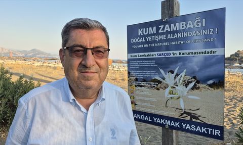 Kum Zambakları Sahilleri Süslemeye Devam Ediyor