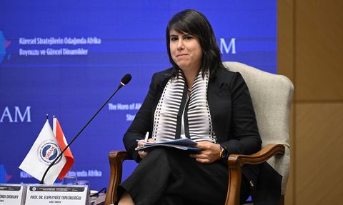 Küresel Stratejilerin Odağında Afrika Boynuzu Paneli