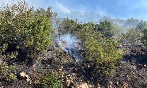 Kuyucak'ta Yangın Kontrol Altına Alındı