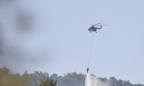 Milas'ta Orman Yangını Kontrol Altına Alındı
