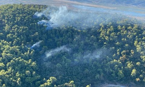 Milas'taki Orman Yangınına Hızla Müdahale Devam Ediyor