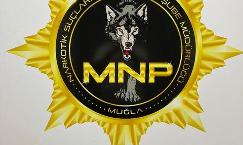 Muğla'da Uyuşturucu Operasyonu: 1 Tutuklama