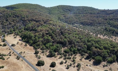 Muğla'nın Milas İlçesinde Süren Orman Yangınına Müdahale Devam Ediyor