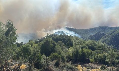 Muğla ve Antalya'daki Orman Yangınlarına Müdahale Devam Ediyor