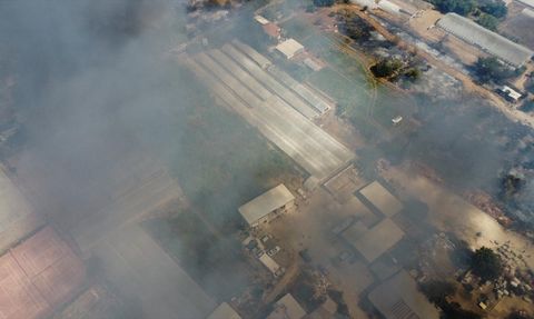 Muratpaşa'da Yangın: Sazlıklardan Yükselen Alevler Sera ve Evleri Tehdit Ediyor