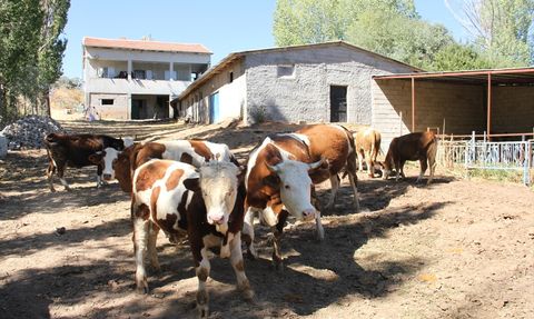 Oğuz Abbas: Devlet Desteğiyle Yeniden Hayat Bulan Eski Hükümlü