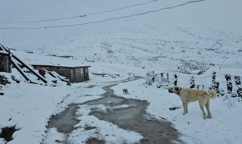 Rize'nin Yüksek Kesimlerine Kar Yağışı