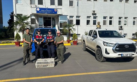 Sakarya'da Yaban Ördekleri Koruma Altında