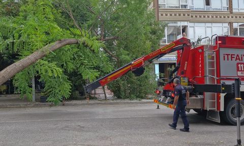Samsun'da Ağaç Devrildi, Otomobil Hasar Gördü