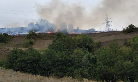 Samsun'da Yangın: 150 Dekar Alan Zarar Gördü