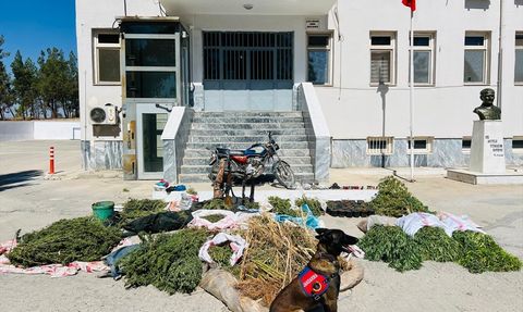 Şanlıurfa'da Uyuşturucu Operasyonu: 3 Şüpheli Yakalandı