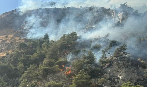 Söke'deki Orman Yangını Kontrol Altına Alındı