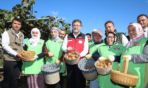 Tarım ve Orman Bakanı Yumaklı, Sakarya'da Kivi Hasadına Katıldı