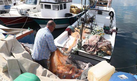 Tekirdağ Balıkçıları İstavritle Morale Kavuştu