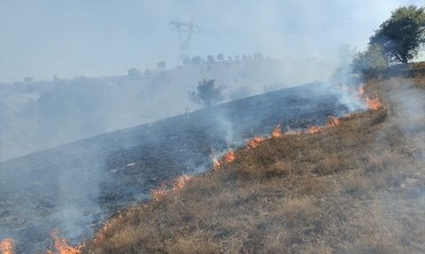 Tokat'ta Makilik Alanda Yangın Söndürüldü