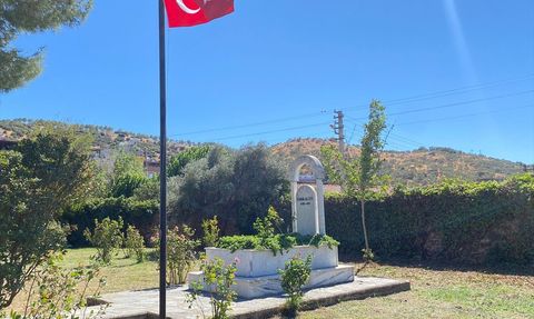 Yörük Ali Efe: Kurtuluş Savaşı'nın Cesur Simgesi