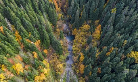 Azdavay'da Sonbahar Renkleri Saray Şelalesi'nde Can Buluyor