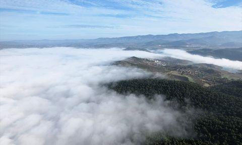 Balıkesir'de Sisin Yol Açtığı Görüş Problemi