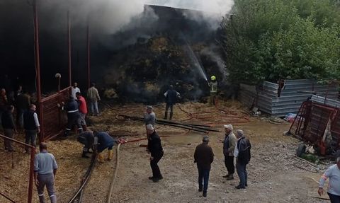 Bursa'da Küçükbaş Hayvanları Tehdit Eden Yangın