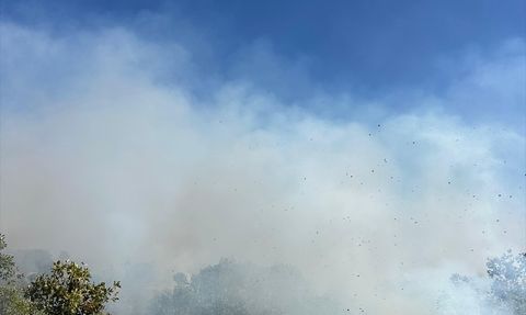 Diyarbakır'da Kırsal Alanı Tehdit Eden Yangın