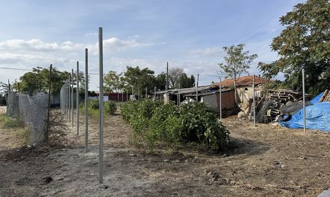 Edirne'nin Şirin Teyzesi İkinci Serasına Kavuşuyor