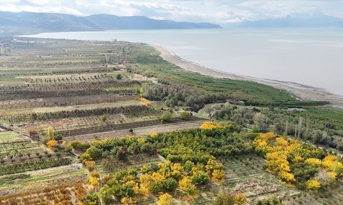 Eğirdir Gölü Sonbaharda Renk Cümbüşüne Bürünen Güzellikte