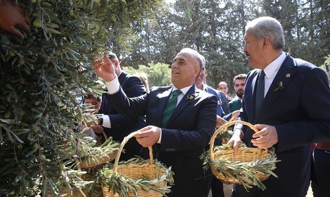 Hatay'da 9. Zeytin, Zeytinyağı ve Gastronomi Festivali Başladı