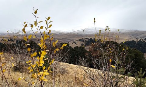 Kars'ın Sarıkamış ilçesinde kar yağışı etkili oldu