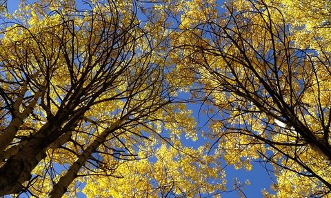 Kars'ın Sonbahar Güzellikleri