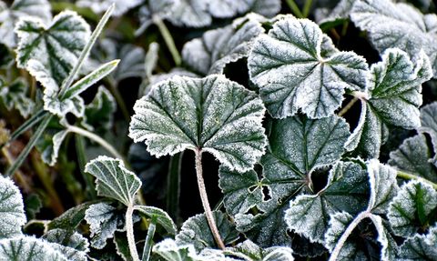 Kars'ta Soğuk Hava Etkisini Sürdürüyor