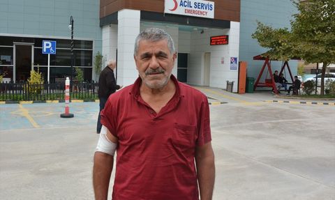 Kastamonu'da Ayı Saldırısı: Çiftçi Yaralandı